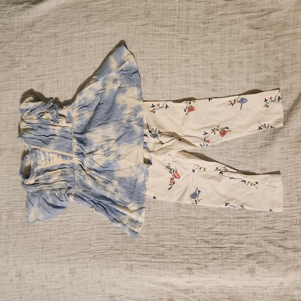 2T Jessica Simpson girl's outfit